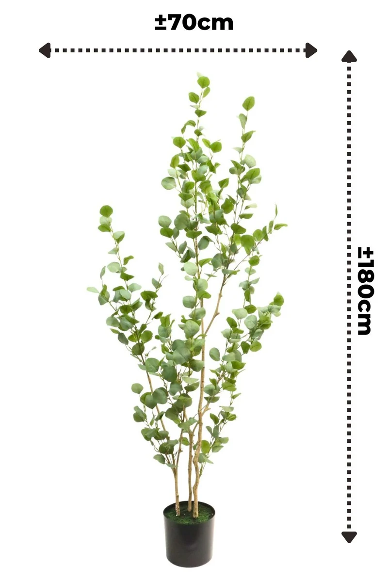 Eukalyptus Kunstpflanze 180cm