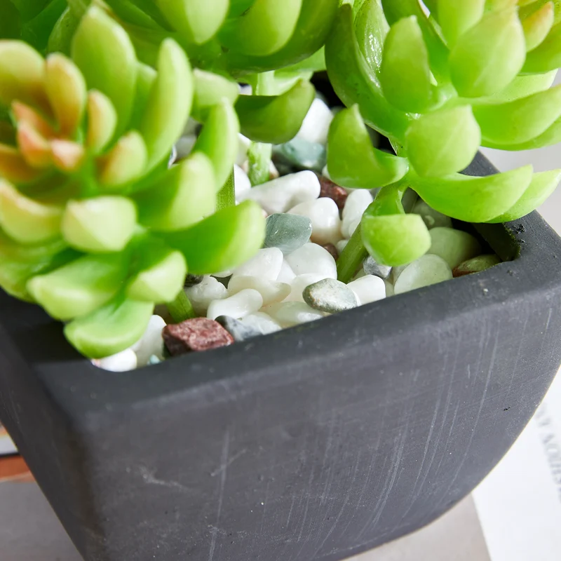 Künstliche Sukkulente – Nepomuk | 14 cm
