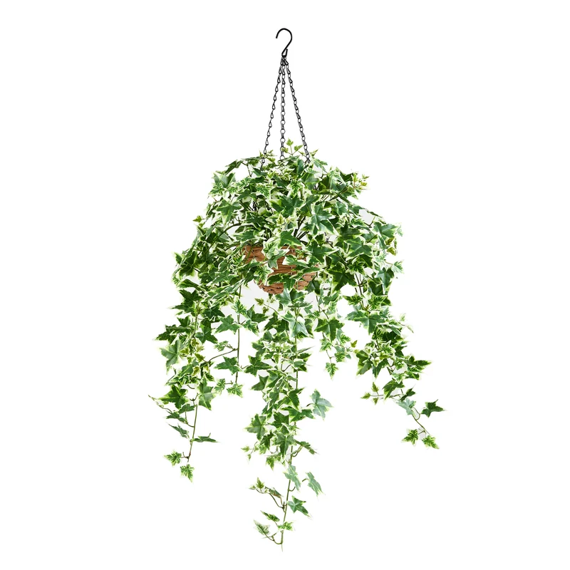 Künstlicher Hänge-Efeu – Seraphine | 100 cm