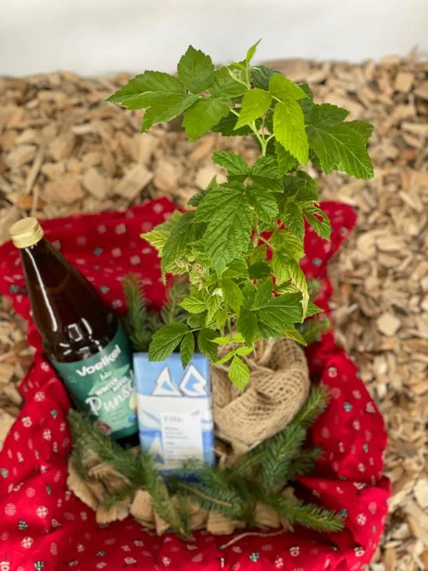 Geschenkbox „Himbeere“