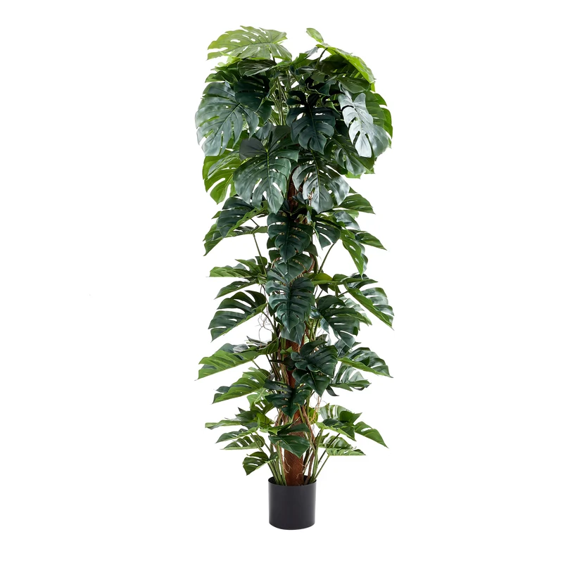 Künstlicher Split-Philodendron – Zephira | 210 cm