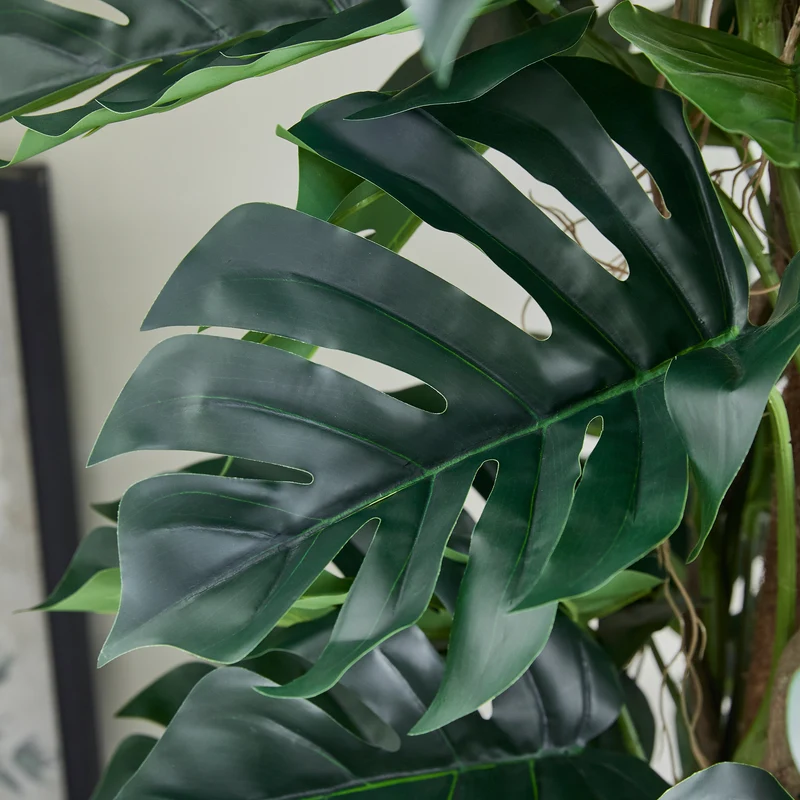 Künstlicher Split-Philodendron – Zephira | 210 cm