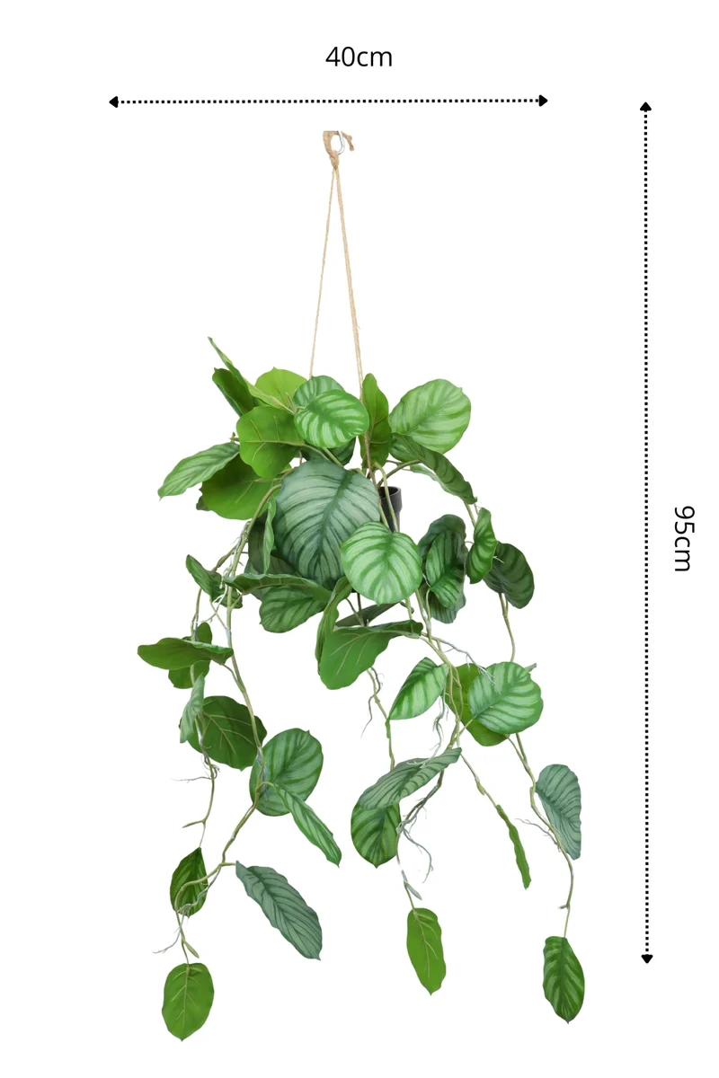 Calathea künstliche Hängepflanze 95cm