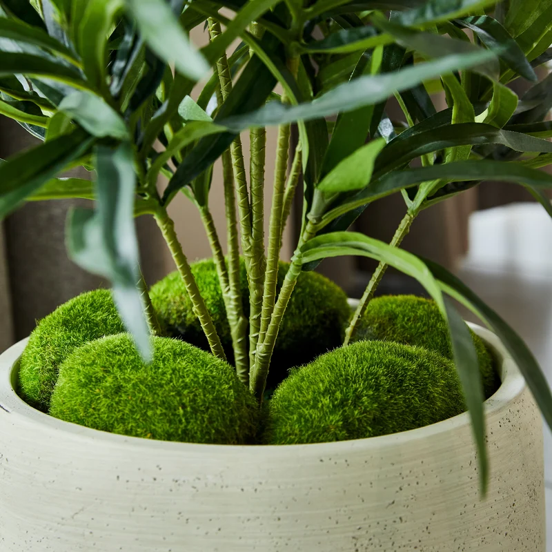 Künstliche Dracaena Reflexa – Orielle | 70 cm