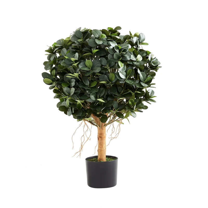 Künstlicher Ficus Panda – Tiberia | 70 cm