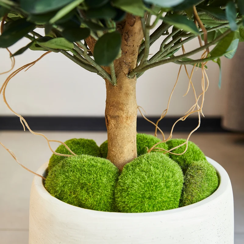 Künstlicher Ficus Panda – Tiberia | 70 cm