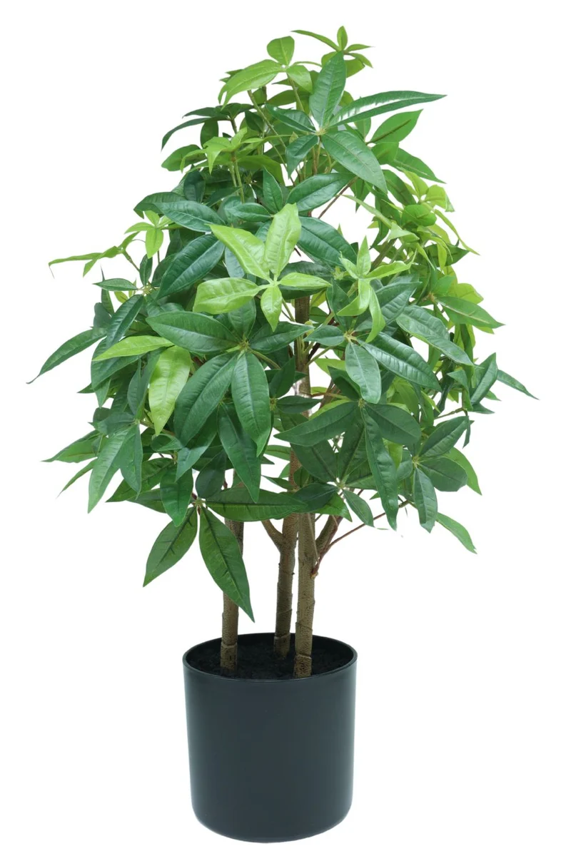 Pachira Kunstpflanze 70cm