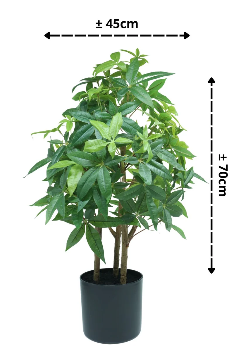 Pachira Kunstpflanze 70cm