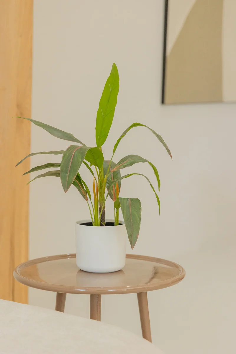 Cordyline Kunstpflanze 50cm