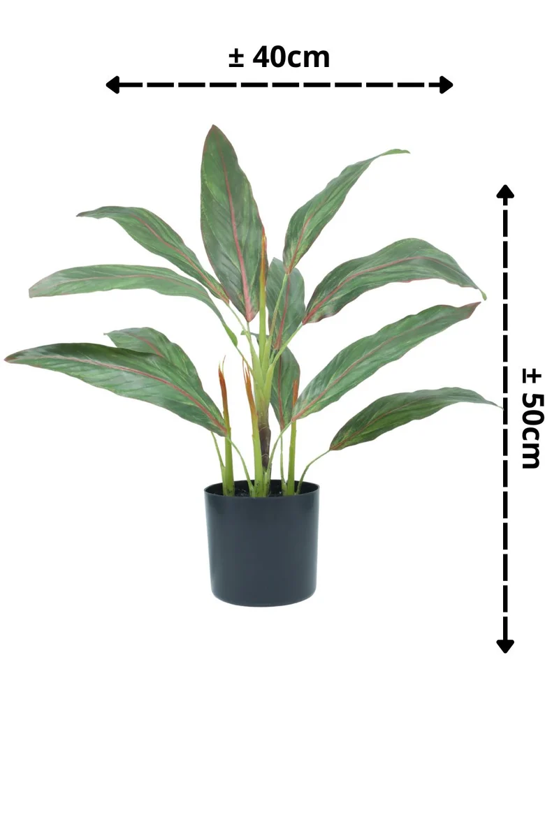 Cordyline Kunstpflanze 50cm