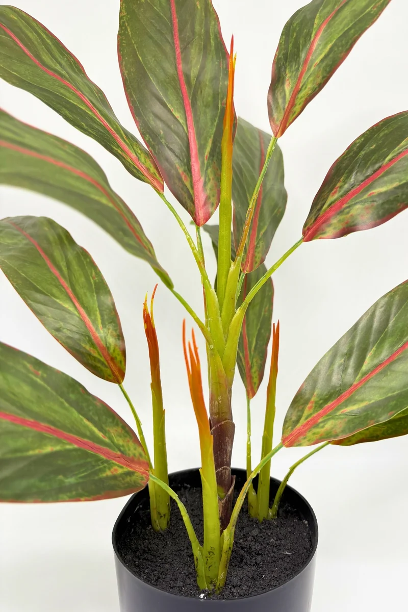 Cordyline Kunstpflanze 50cm