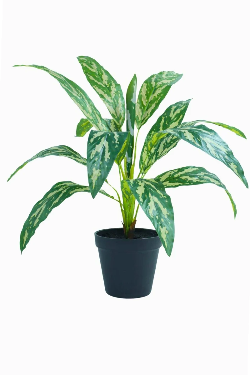 Dracaena Kunstpflanze 40 cm