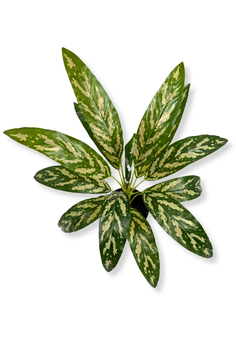 Dracaena Kunstpflanze 40 cm