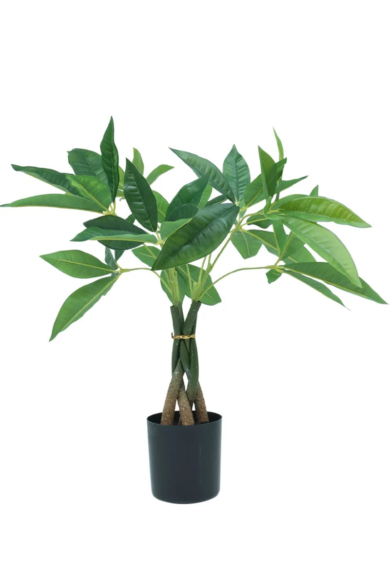 Pachira Kunstpflanze 45 cm