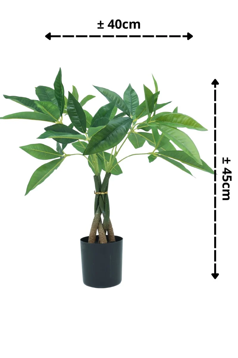 Pachira Kunstpflanze 45 cm