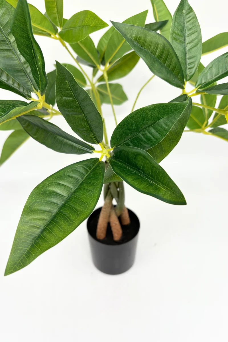 Pachira Kunstpflanze 45 cm