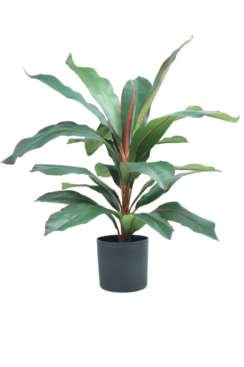 Dracaena Kunstpflanze 60cm