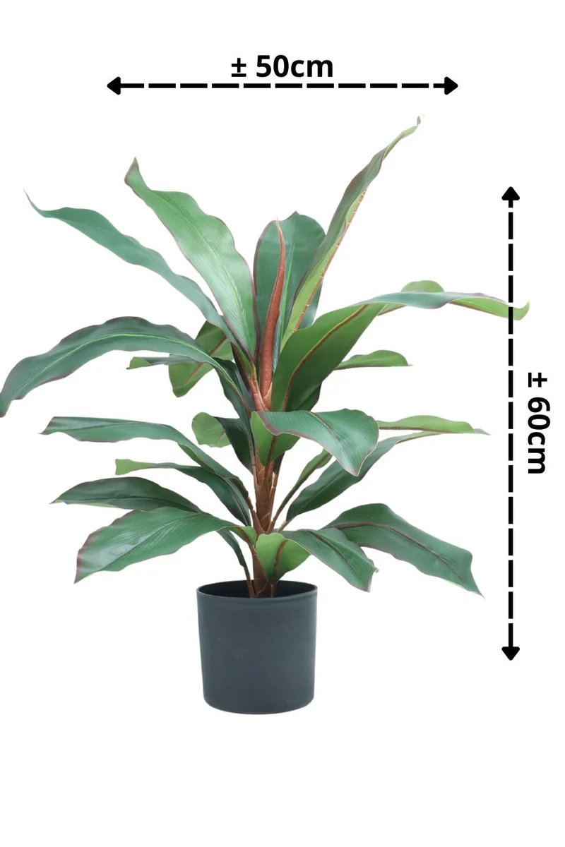 Dracaena Kunstpflanze 60cm