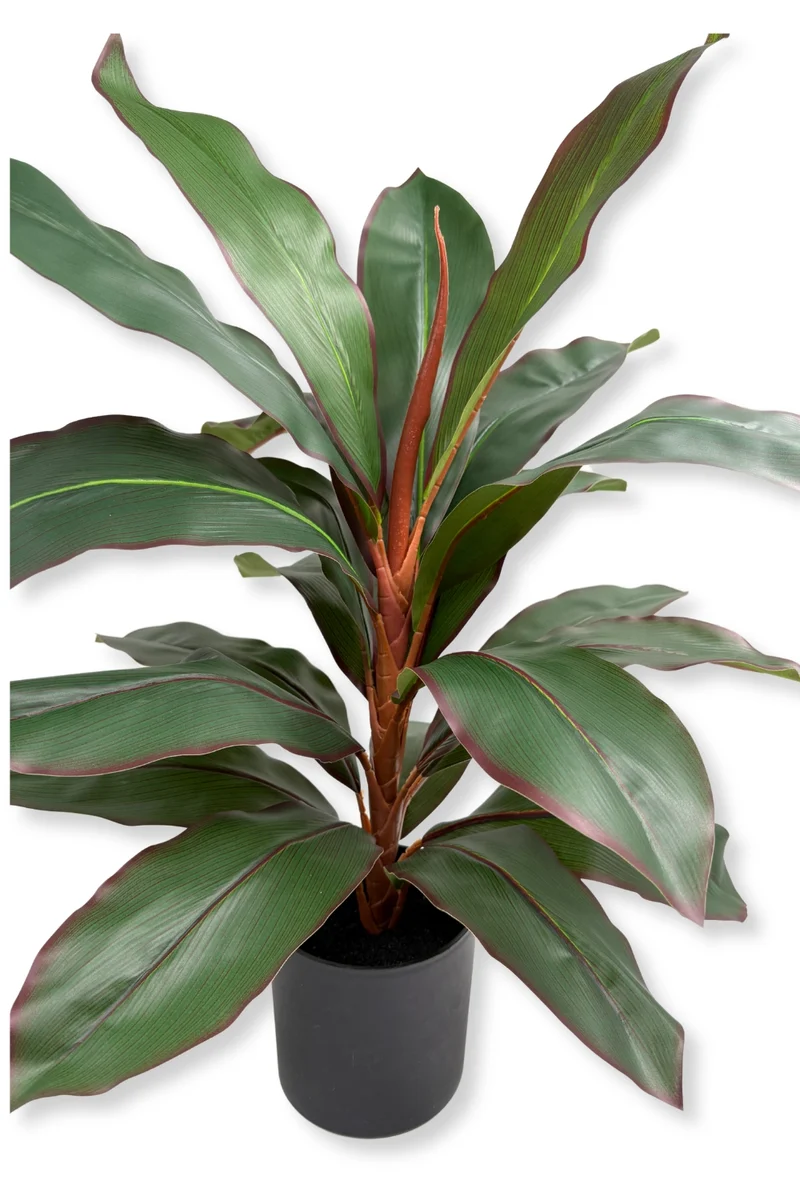 Dracaena Kunstpflanze 60cm