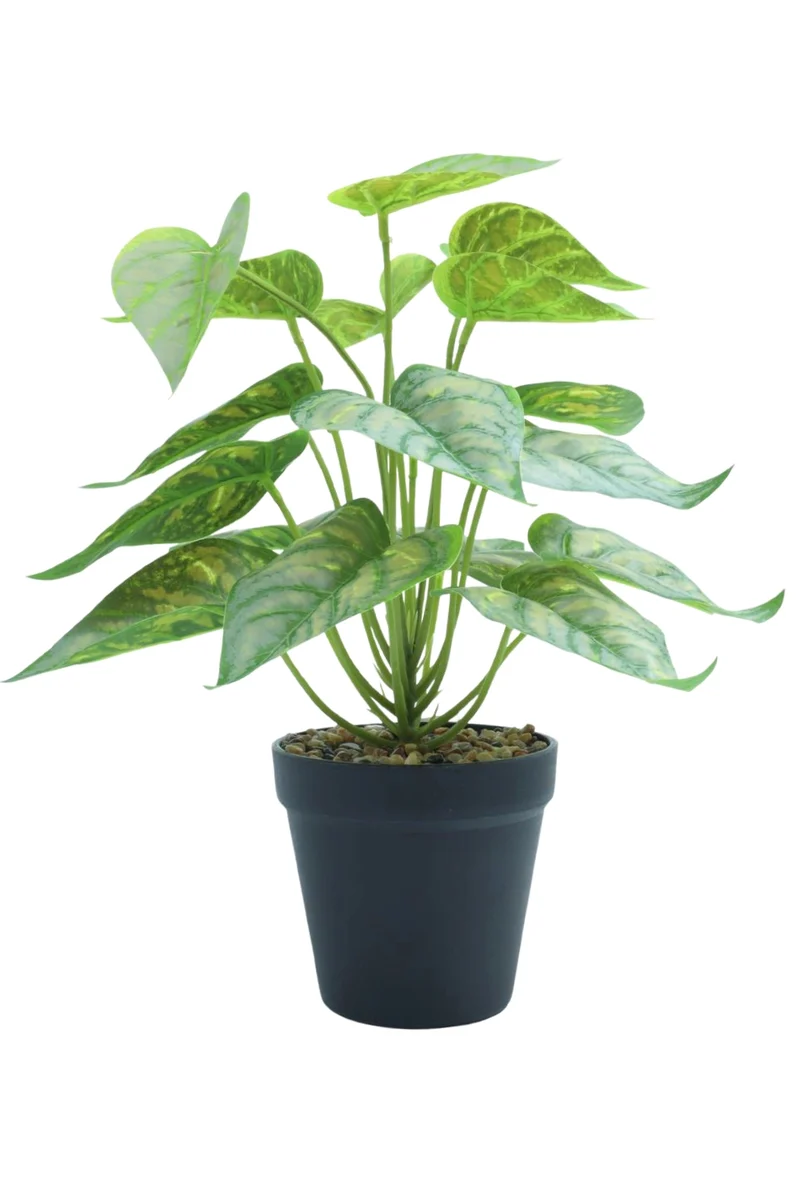 Caladium Kunstpflanze 32 cm