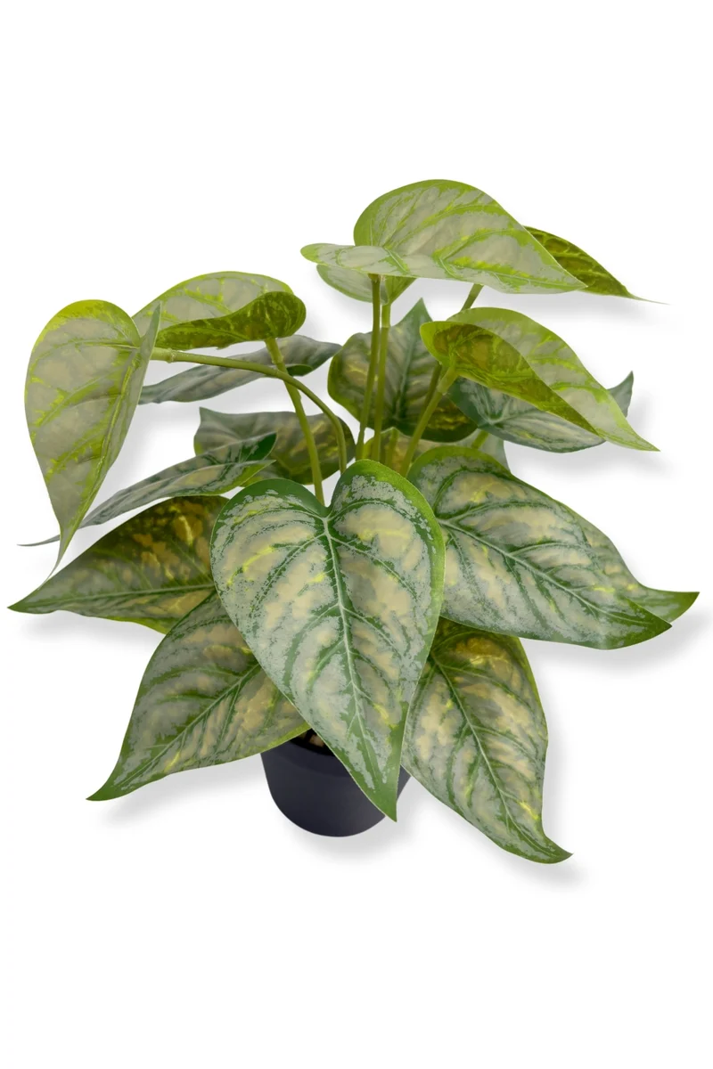 Caladium Kunstpflanze 32 cm