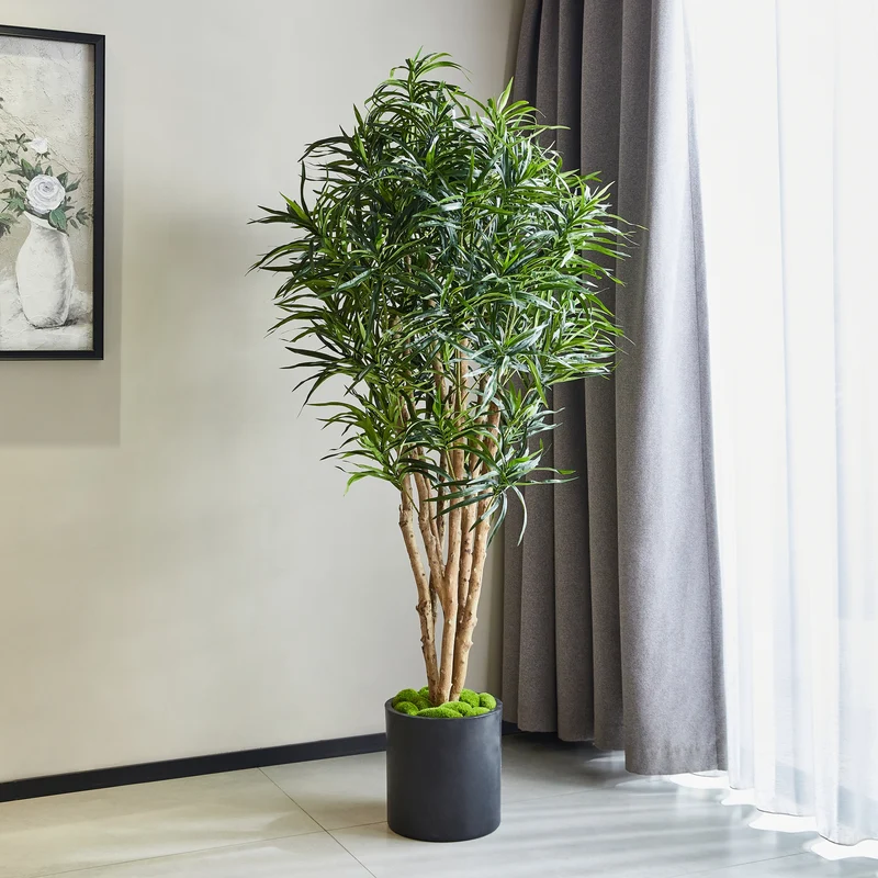 Künstliche Dracaena Reflexa – Maelis | 180 cm