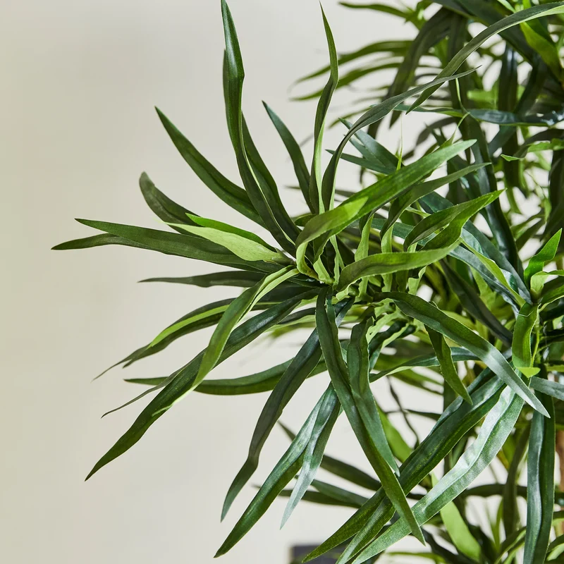Künstliche Dracaena Reflexa – Maelis | 180 cm