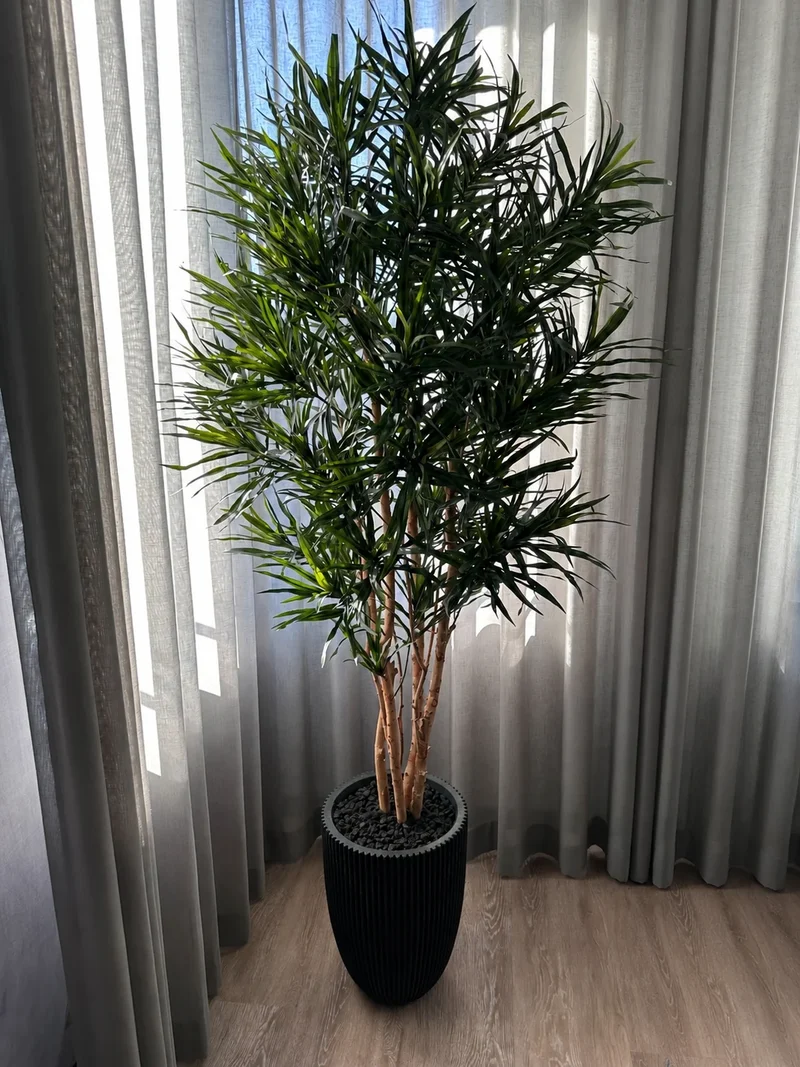 Künstliche Dracaena Reflexa – Maelis | 180 cm