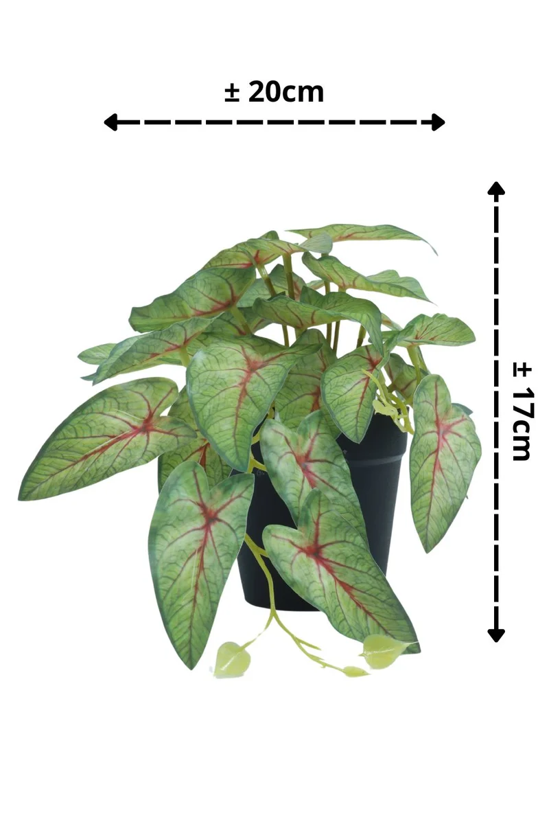 Caladium Kunstpflanze 17 cm