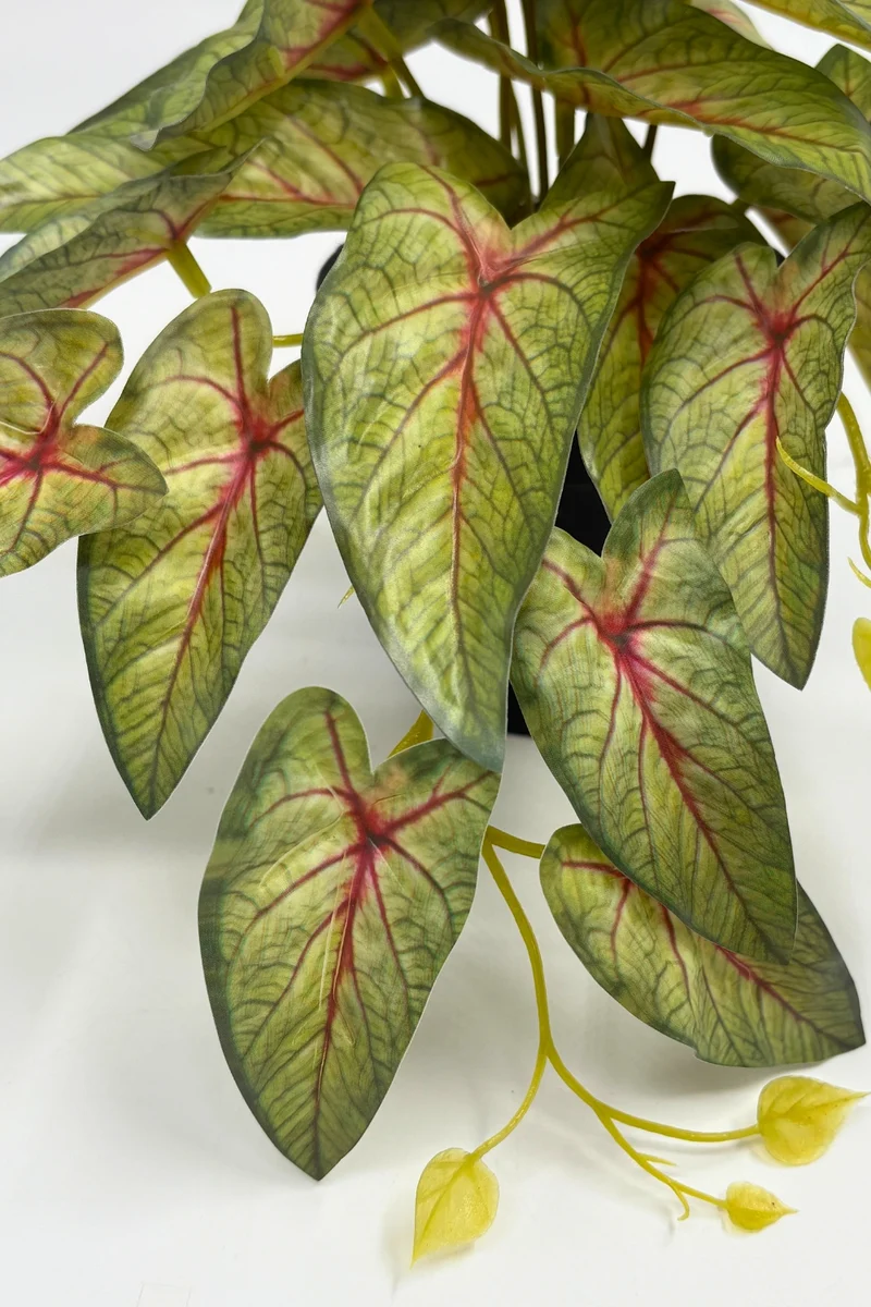 Caladium Kunstpflanze 17 cm