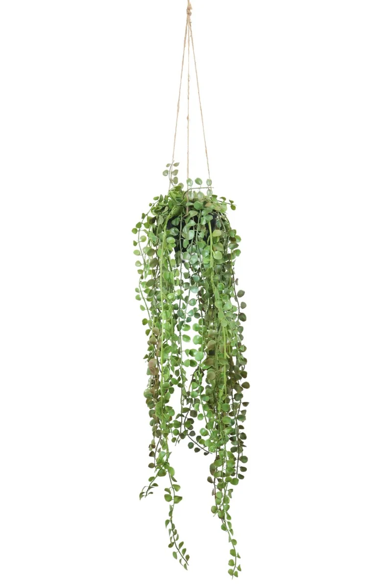 Ficus Pumilla Kunst-Hängepflanze 70 cm