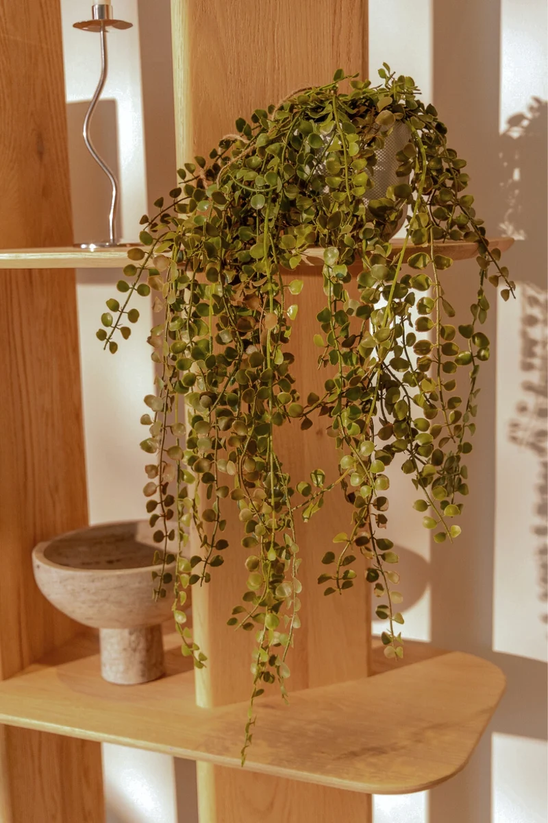 Ficus Pumilla Kunst-Hängepflanze 70 cm
