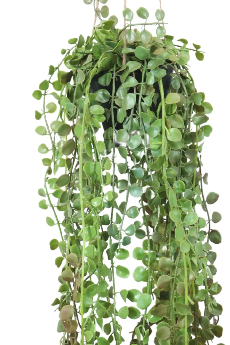 Ficus Pumilla Kunst-Hängepflanze 70 cm