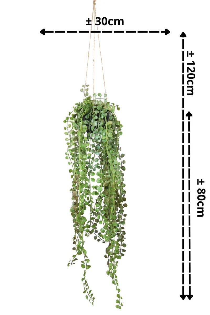 Ficus Pumilla Kunst-Hängepflanze 70 cm