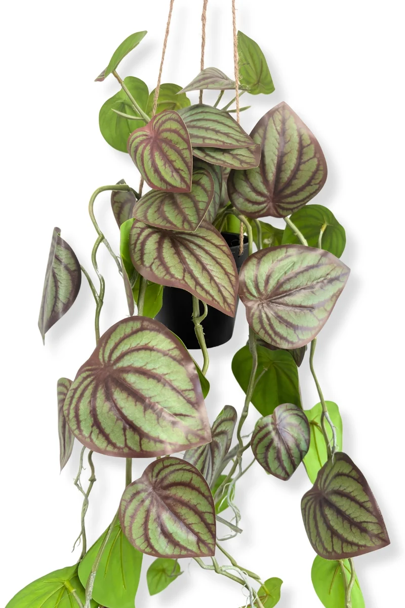 Pothos Künstliche Hängepflanze 70 cm