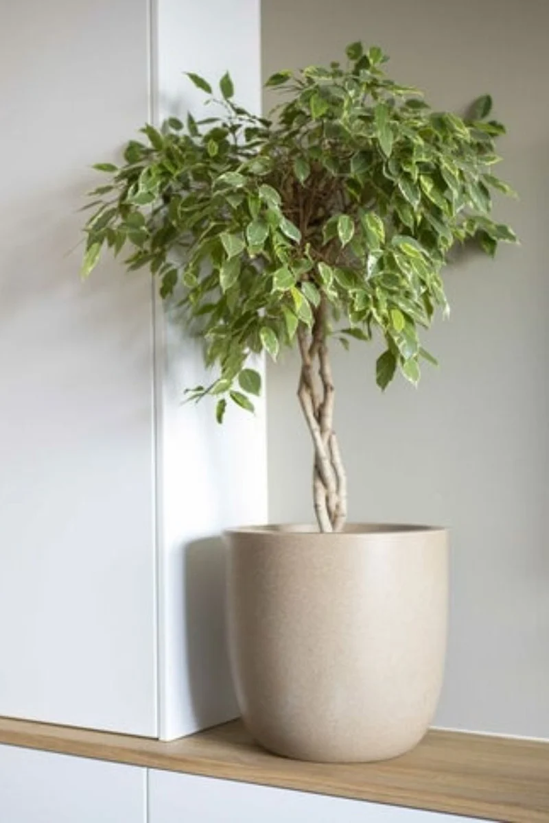 Capi Blumentopf Smooth Kugel 35x34 Terrazzo
