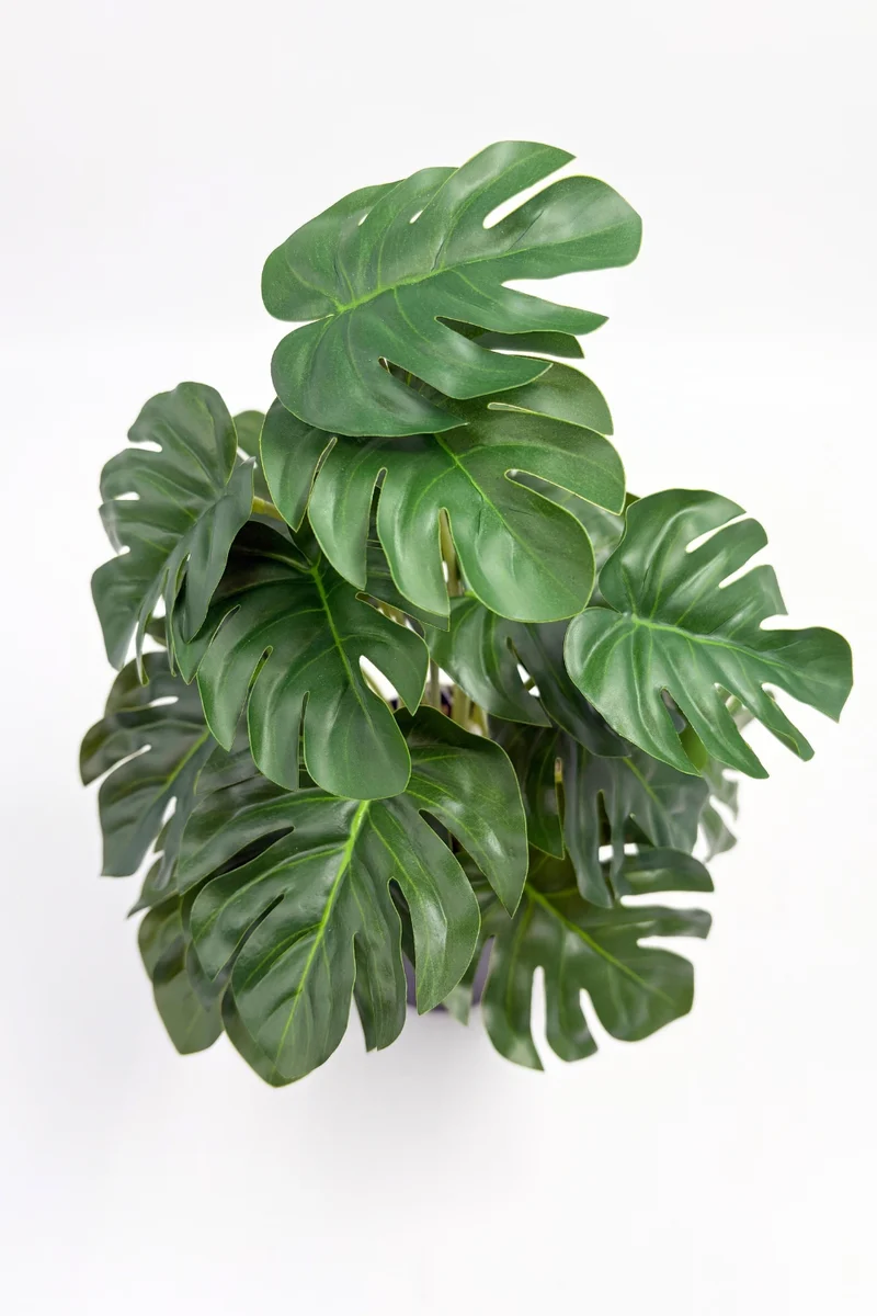 Monstera Kunstpflanze 32 cm