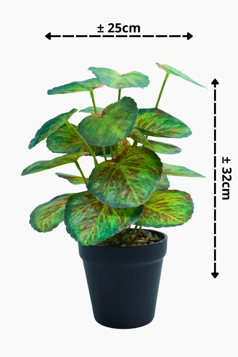 Taro Kunstpflanze 32 cm