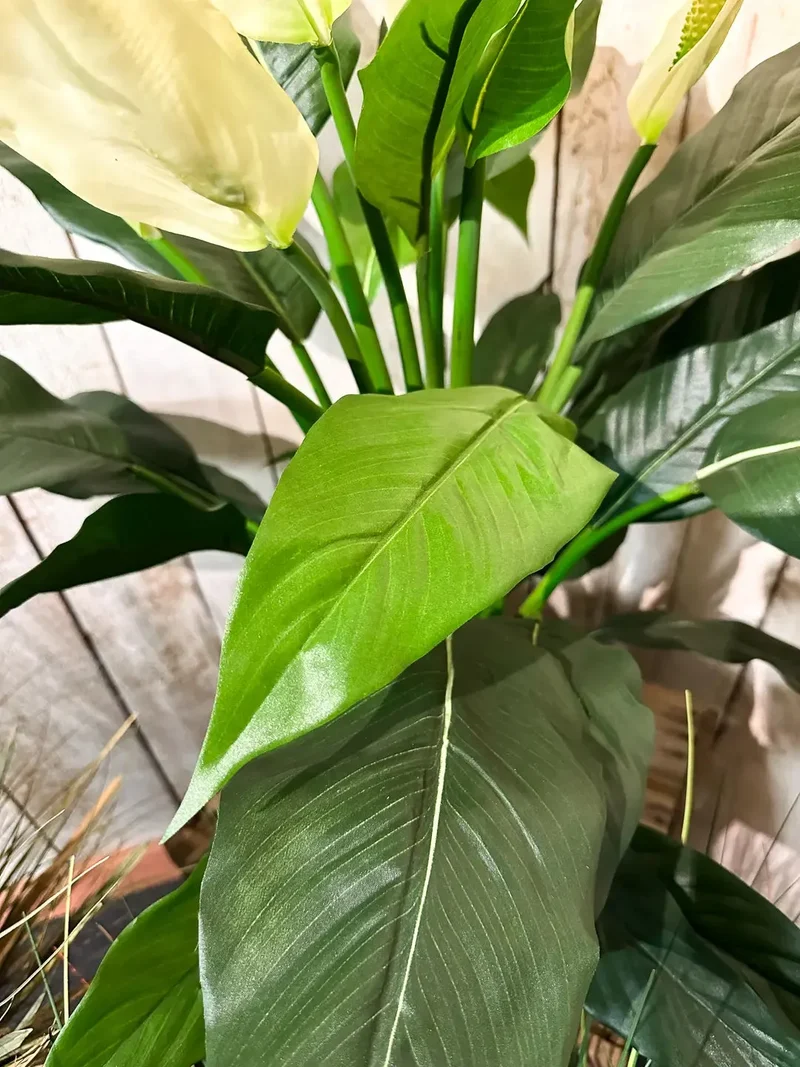 Künstliche Spathiphyllum - Big-Luna | 73 cm