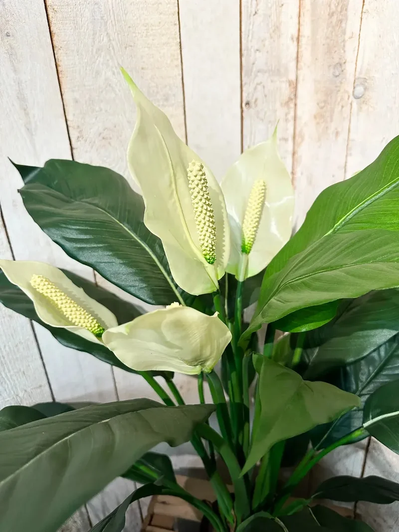 Künstliche Spathiphyllum - Big-Luna | 73 cm
