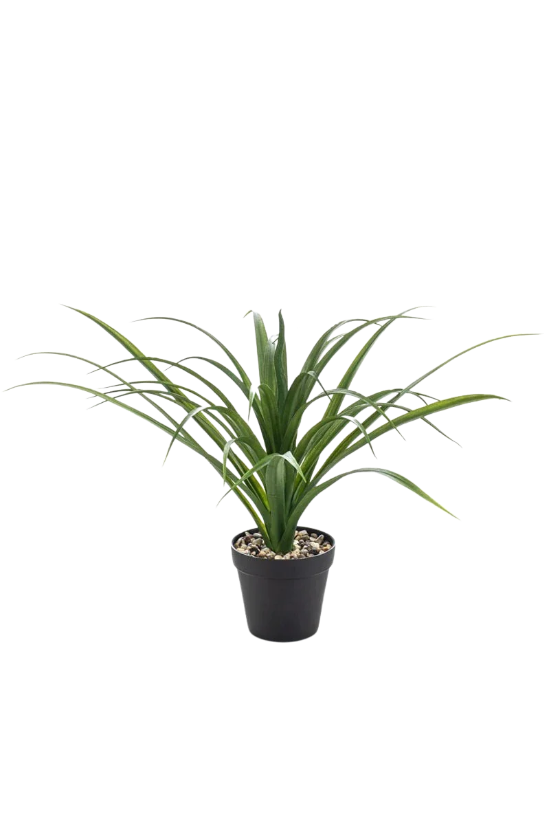 Künstliche Yucca - Basti | 35 cm