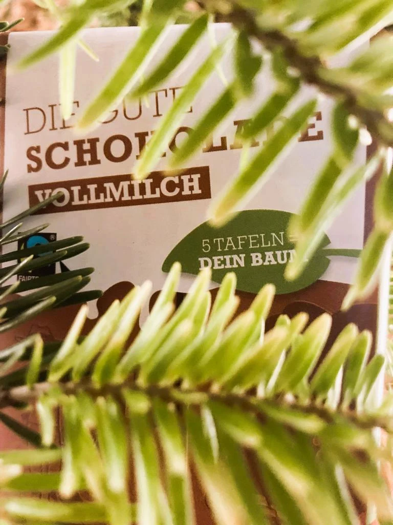 Weihnachtsbox „Nordmanntanne“