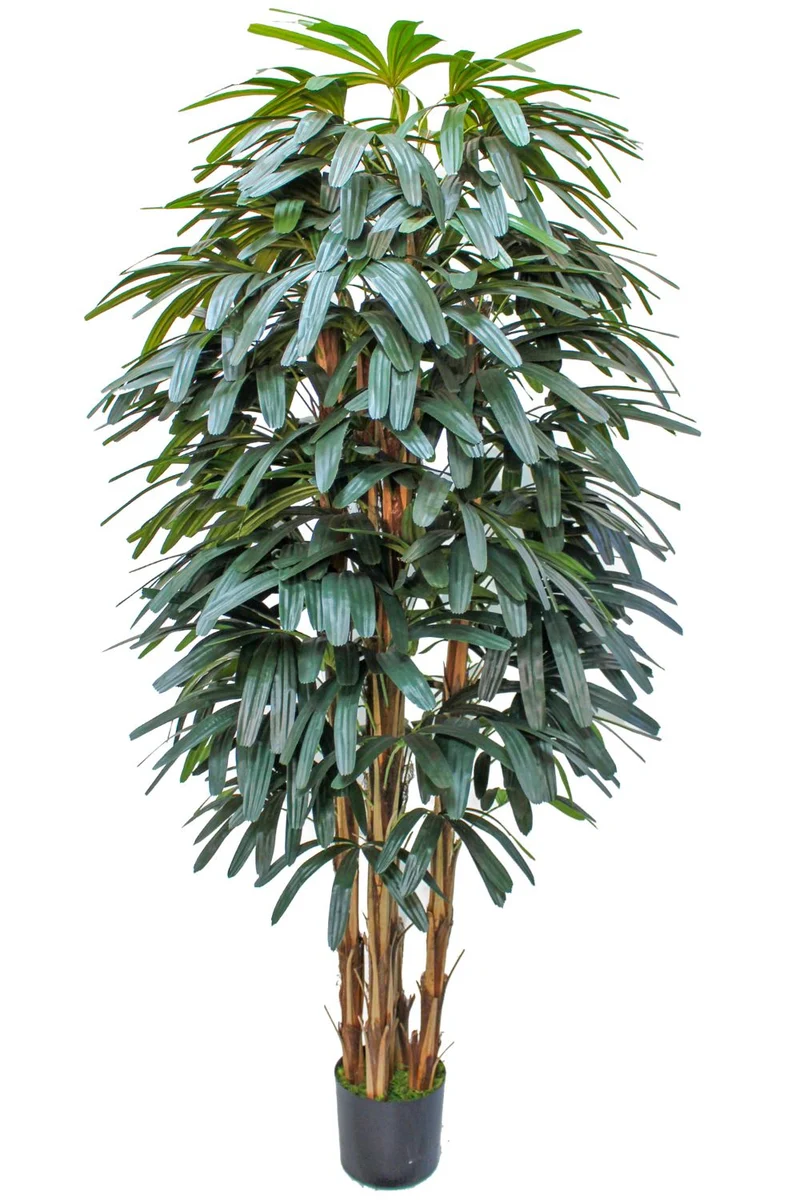 Raphis Kunstpalme 180 cm