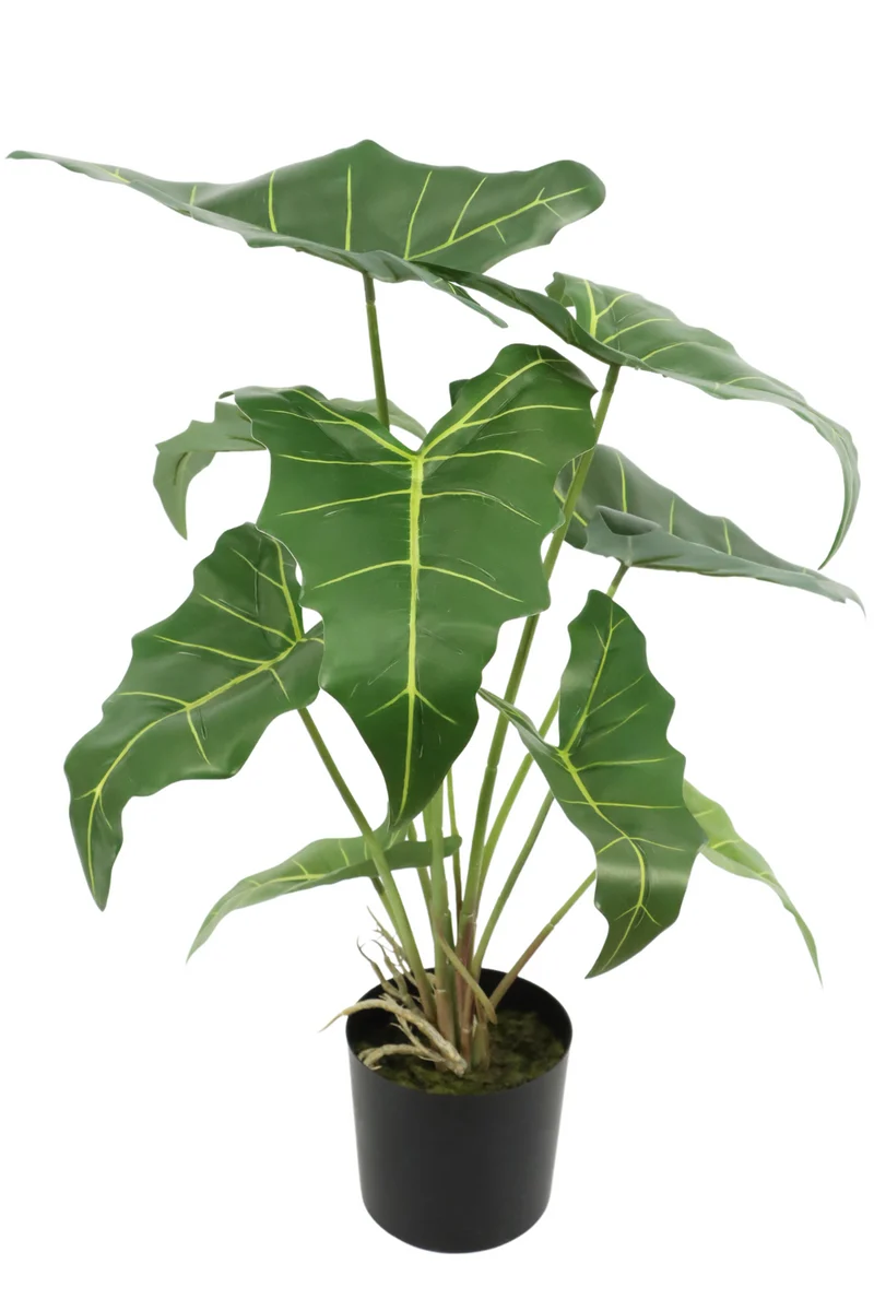 Alocasia Kunstpflanze 60cm