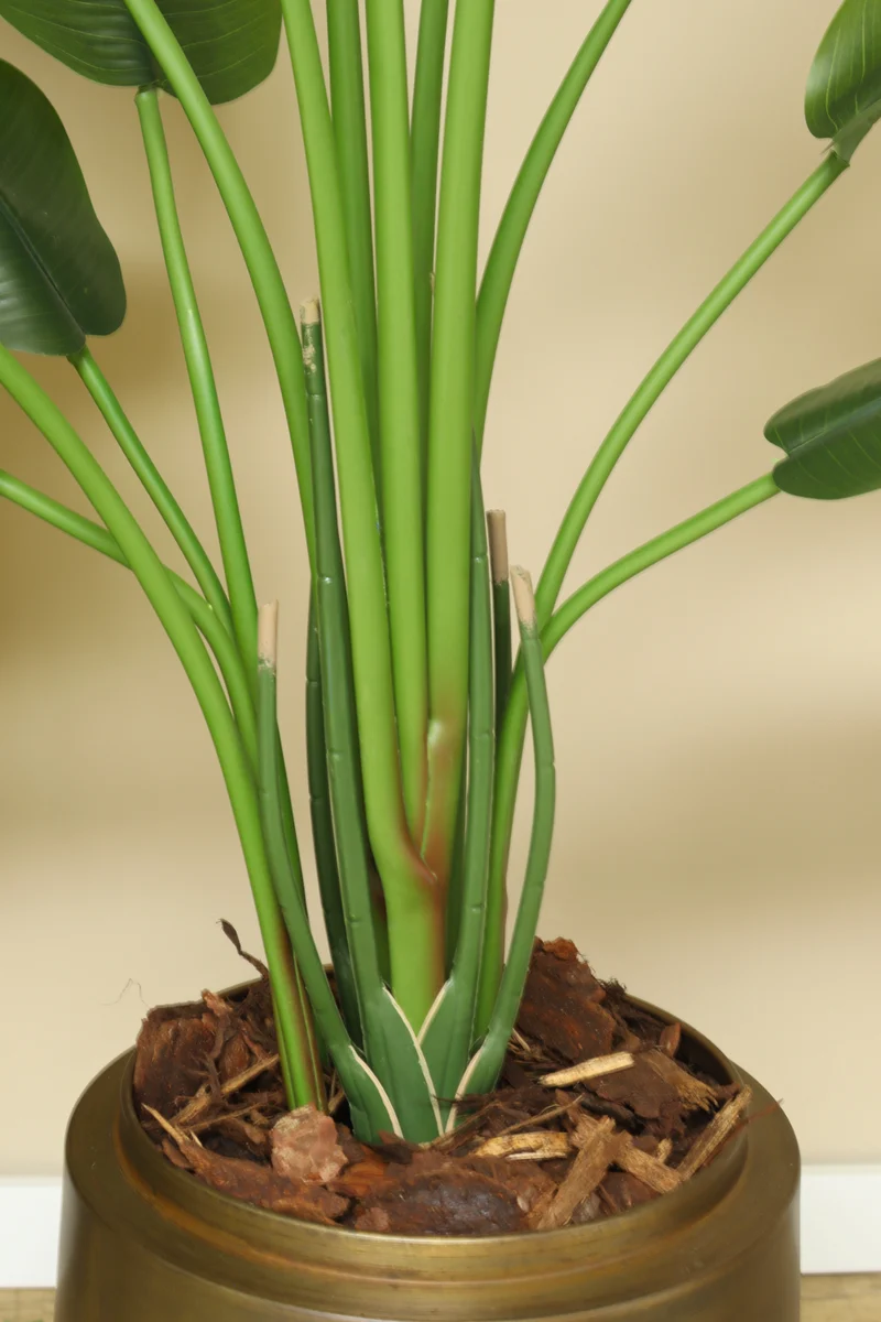 Strelitzia Kunstpflanze 165cm