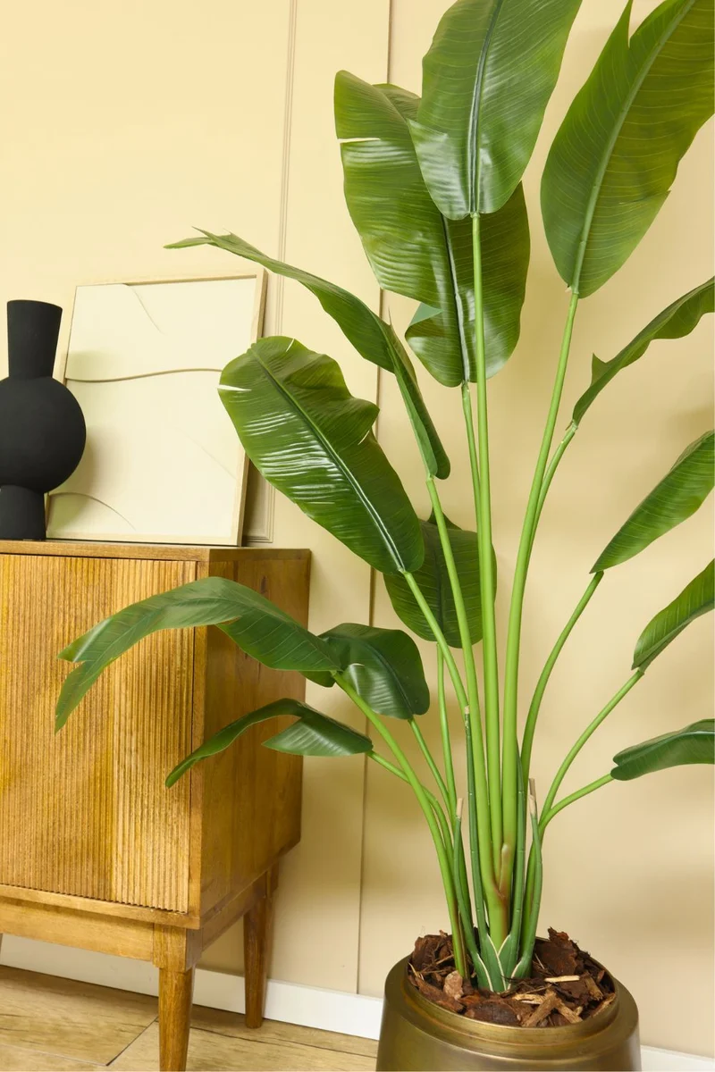 Strelitzia Kunstpflanze 165cm