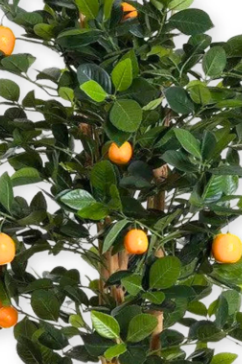 Künstlicher Orangenbaum 120cm