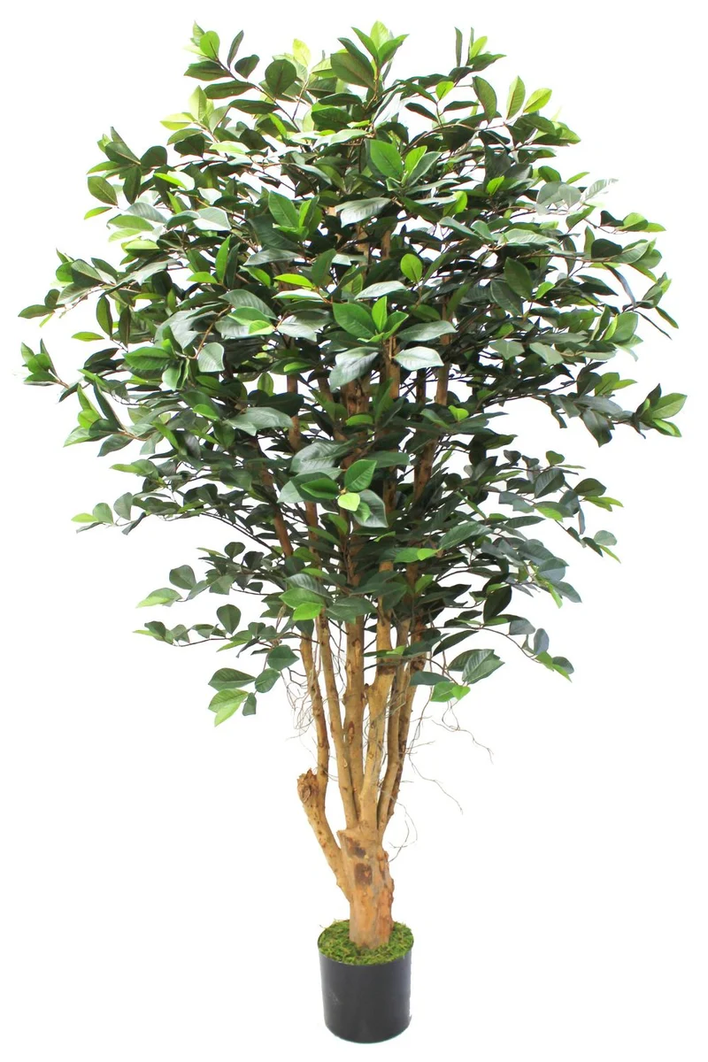 Ficus Kunstpflanze 180cm