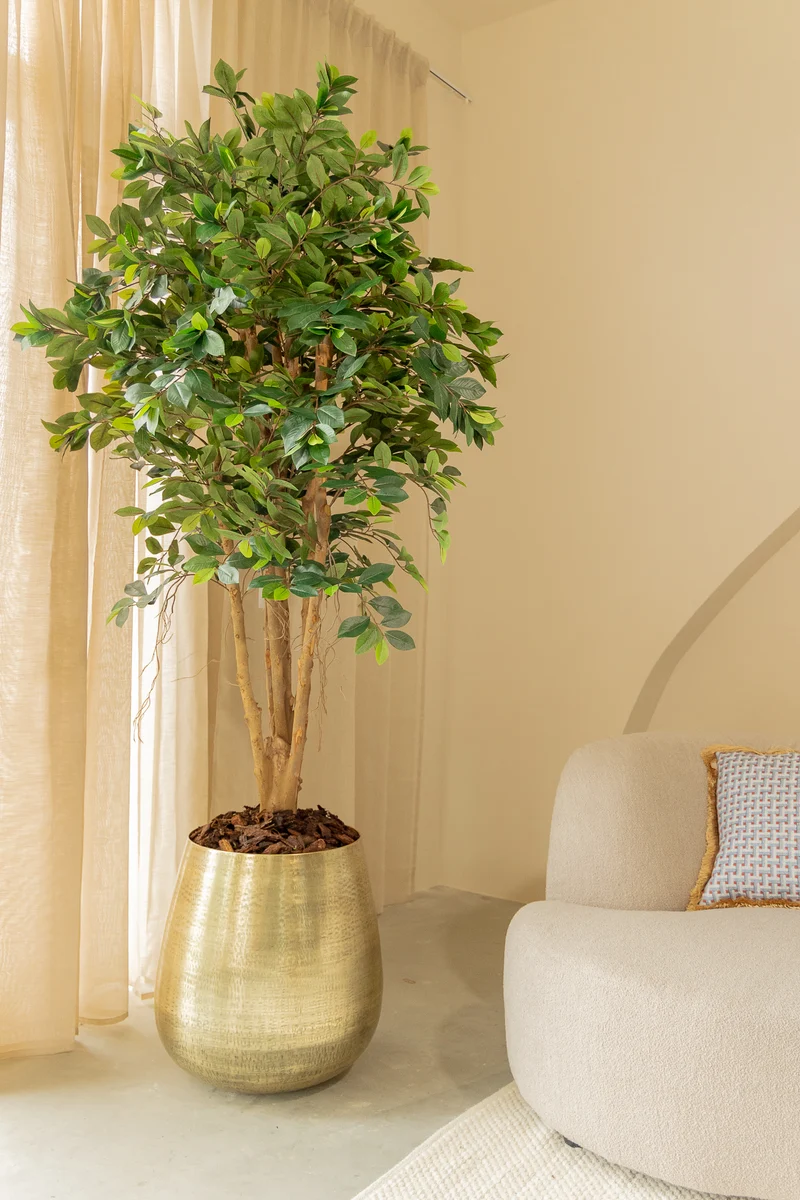 Ficus Kunstpflanze 180cm