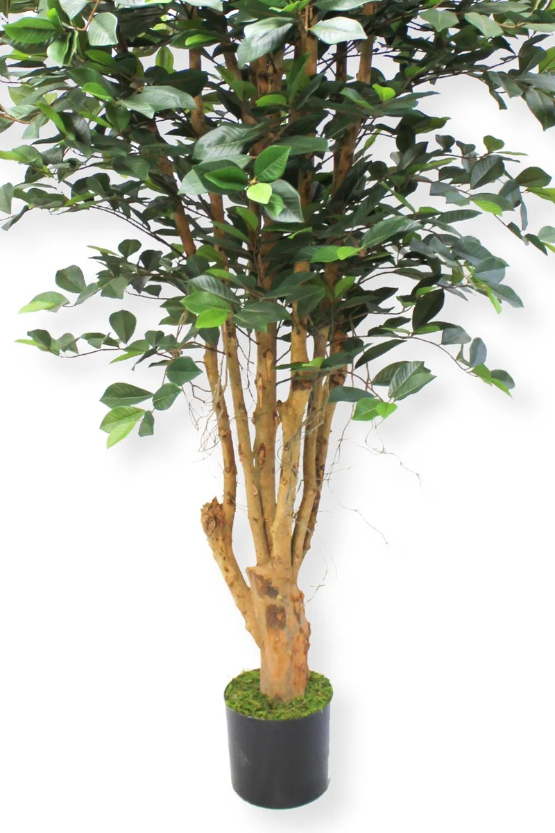Ficus Kunstpflanze 180cm